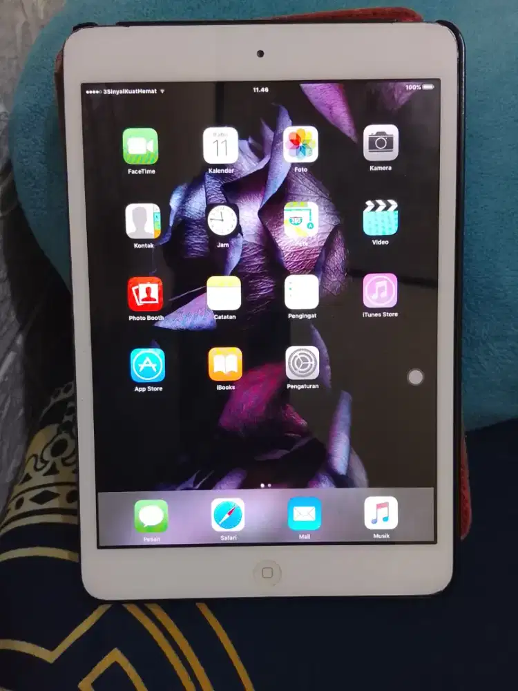 iPad mini 1 ram 12gb