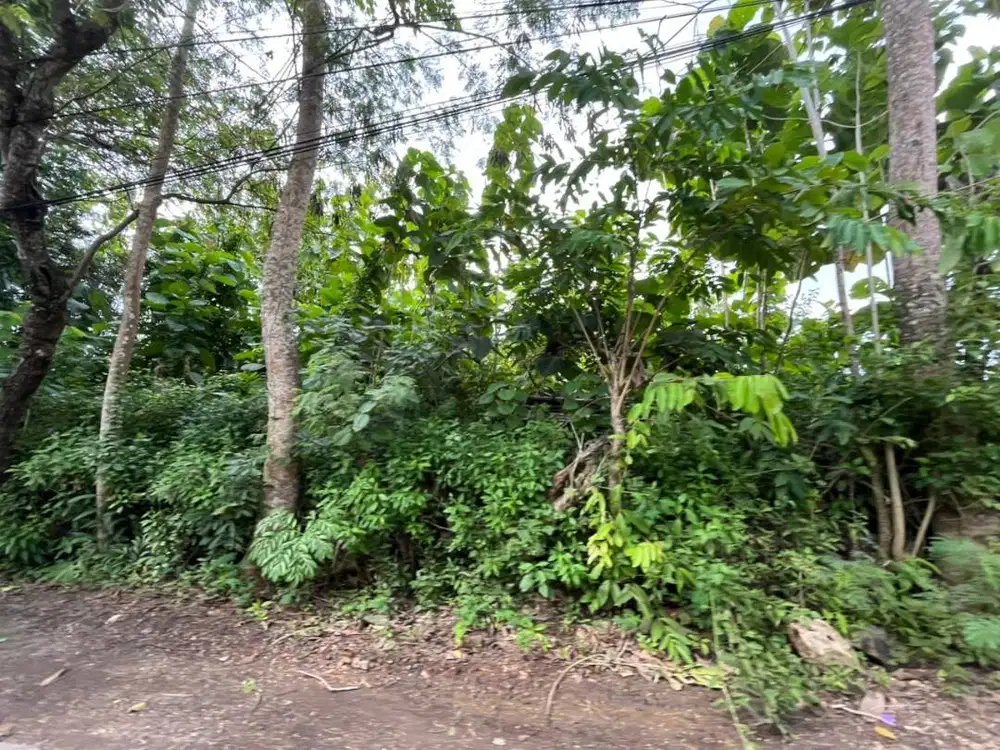 Dijual Tanah Strategis di Kawasan Berkembang  jl Gunung Payung Kutuh