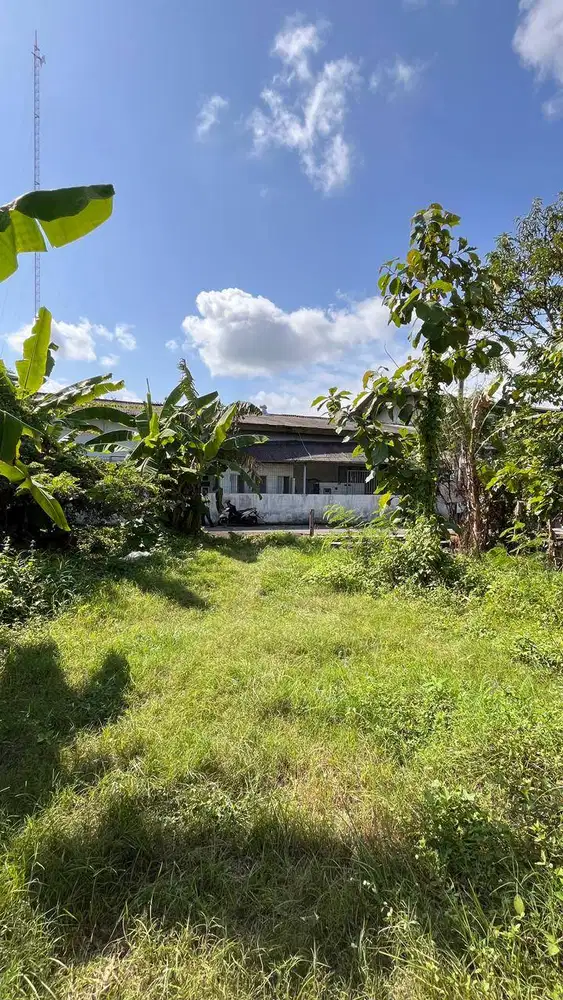 TANAH LUAS DIJUAL MURAH DEKAT JALAN RAYA