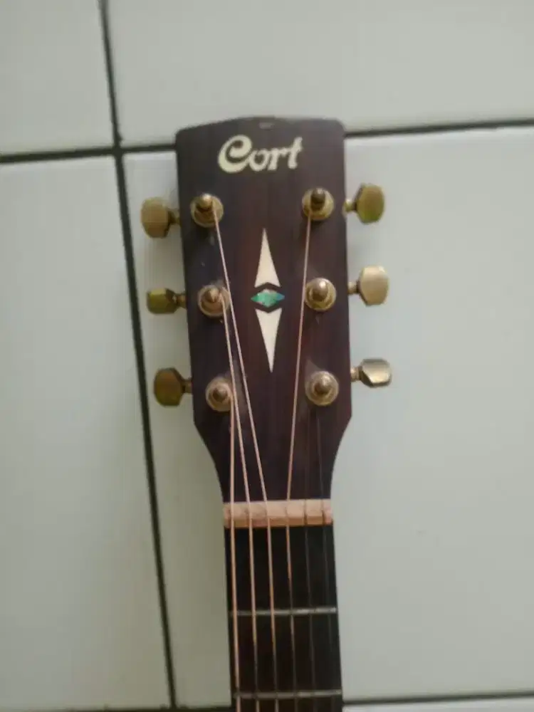 Gitat Cort tipe: EARTH GRAND F OP