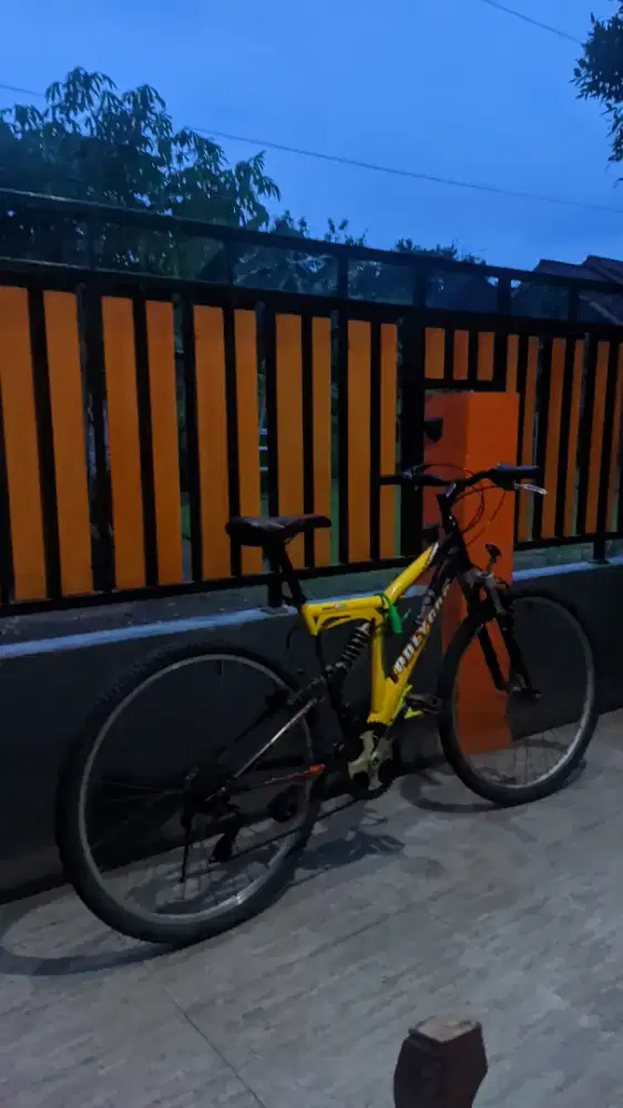 Sepeda Polygon Broadway