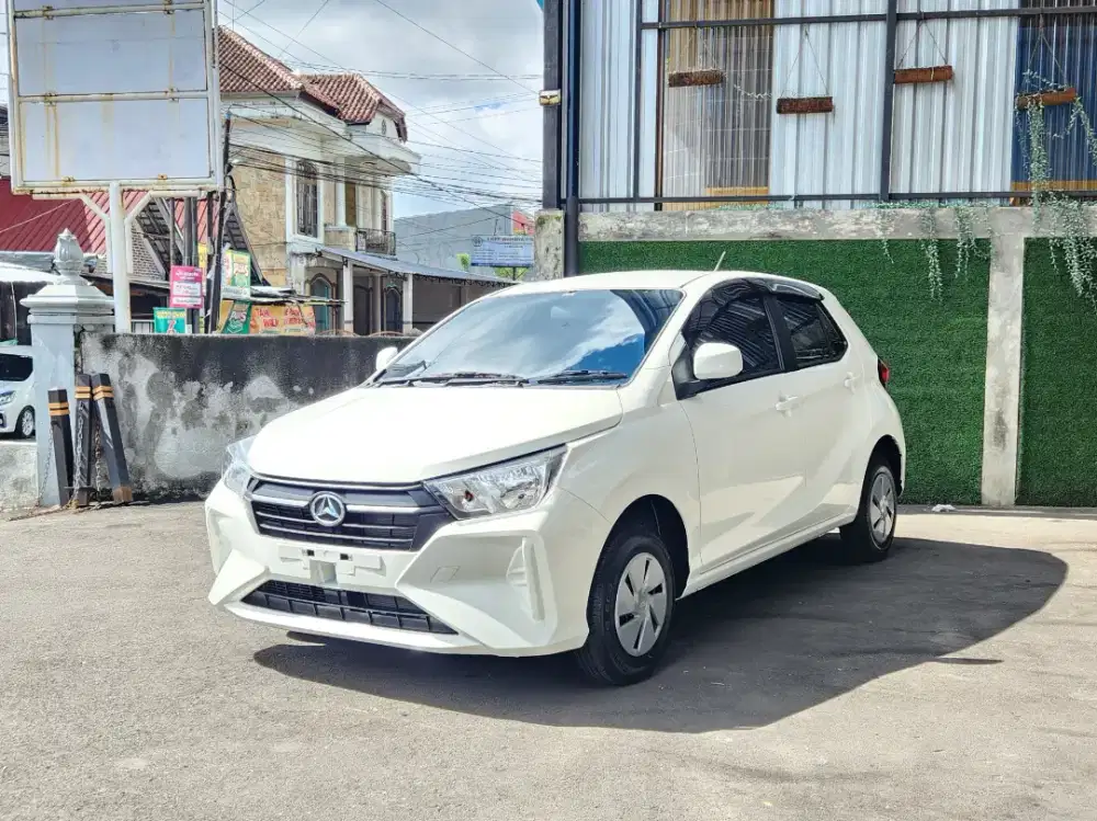 New Ayla M 2025 off the road