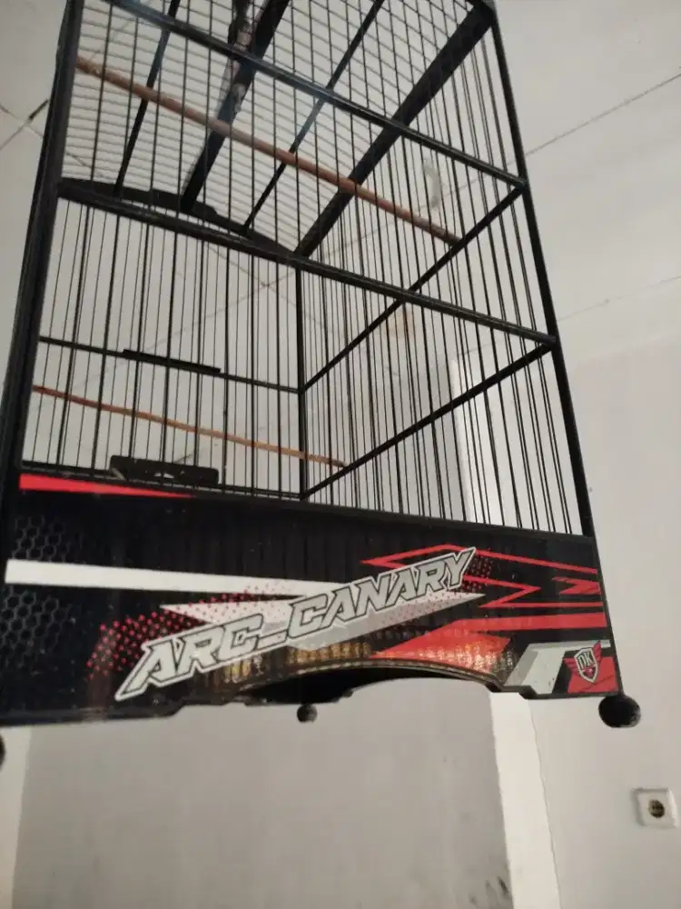 Jual kanda burung no2