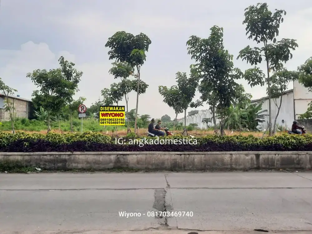 Tanah Komersial Babat Jerawat Pakal Surabaya Sudah Uruk Lebar 43 meter