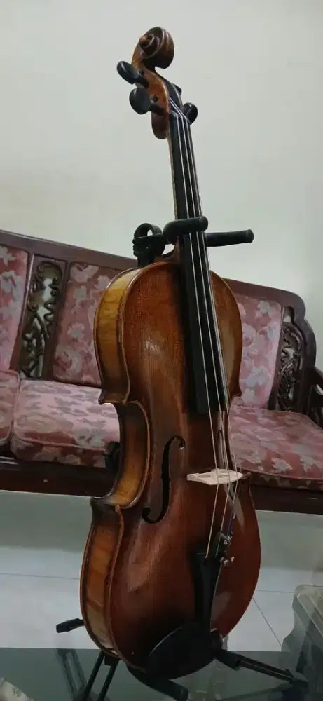 dijual biola Eropa tua Germany