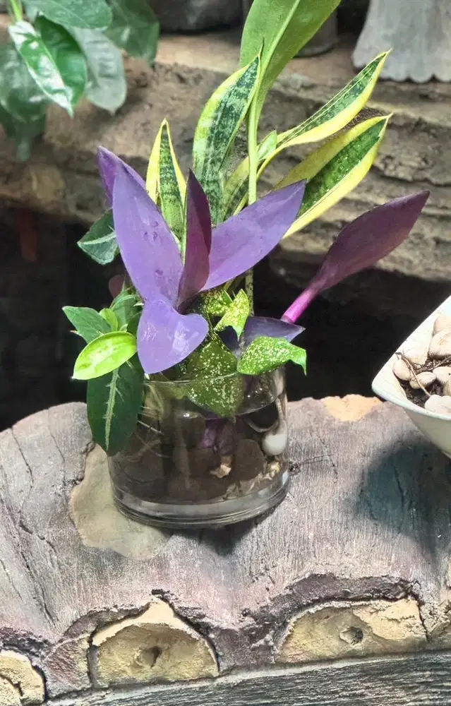 Pembantu Rumah Tangga (PRT)