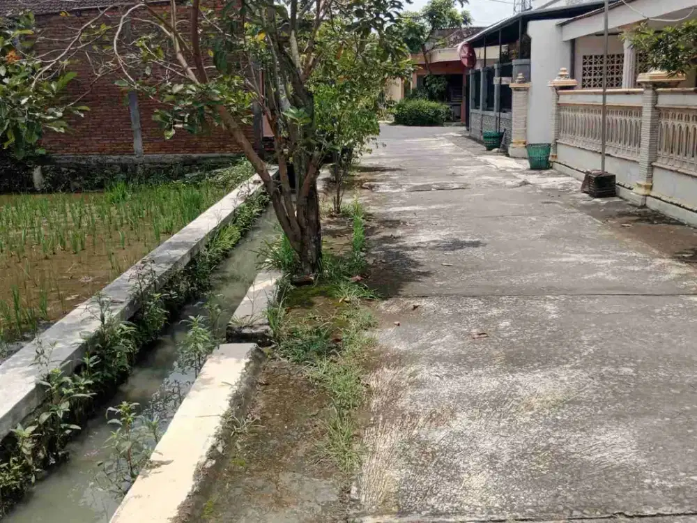 Pekarangan murah 200m² muka 10m mobil sampai lokasi ( 4m  ) 100mdari jalan raya nasional palur - sragen, ngringo jaten karanganyar