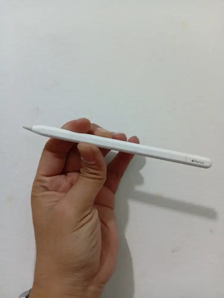 Apple Pencil (USB C)