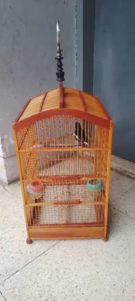 Sangkar no 3 kaya Baru