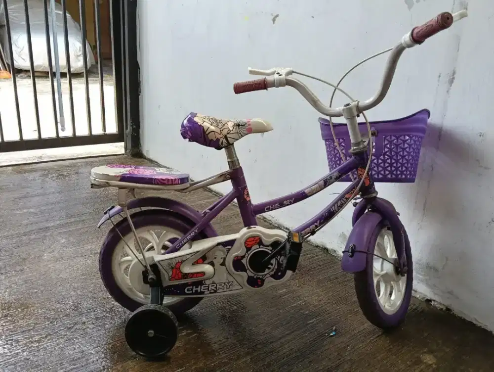 Sepeda anak 3_4th