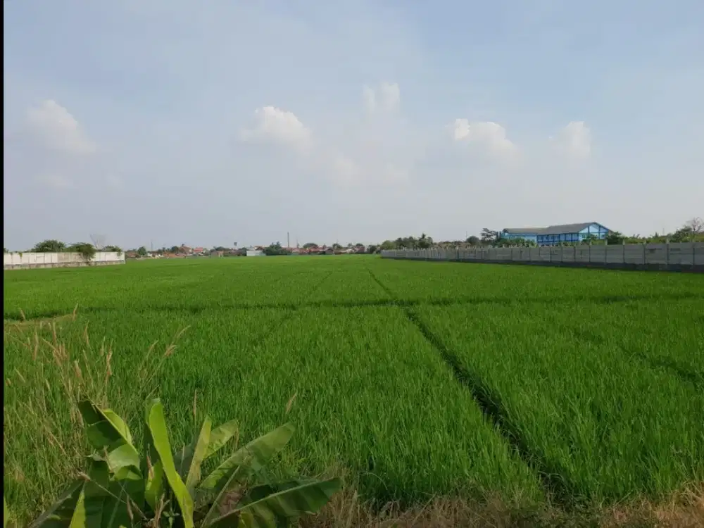 Tanah Komersial Luas 57.508M2 Cocok Untuk Pergudangan di Kawang Barat