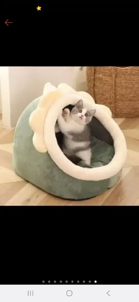 Tempat tidur kucing ukuran L