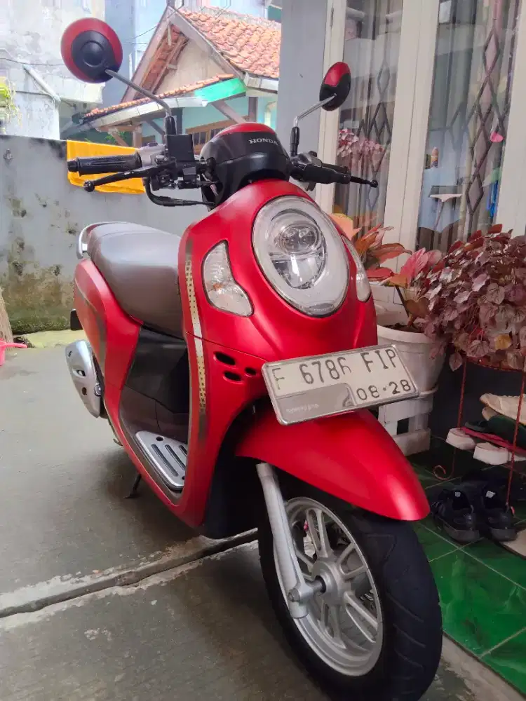 Honda scoopy thn 2023