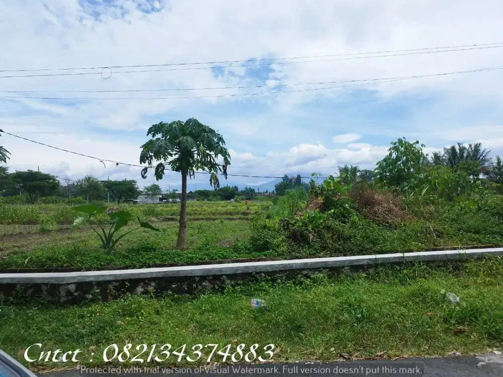 Tanah dijual, view sawah & merapi Di Mororejo, Tempel, Sleman