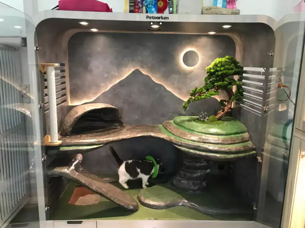 Petoorium pet house in good condition
