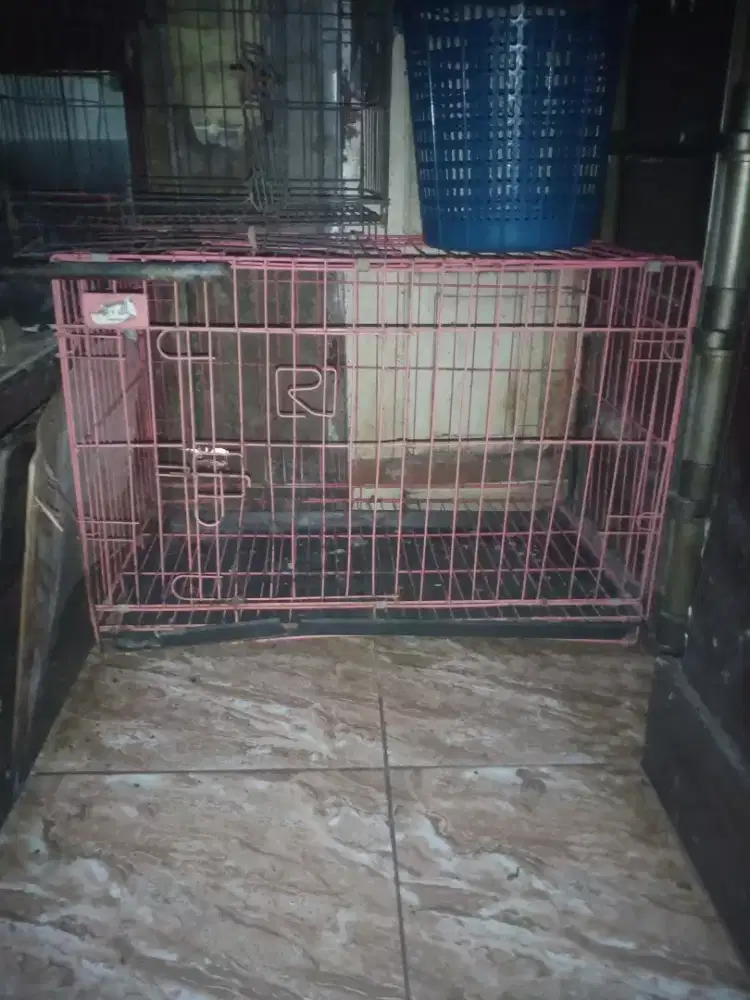Di jual kandang kucing