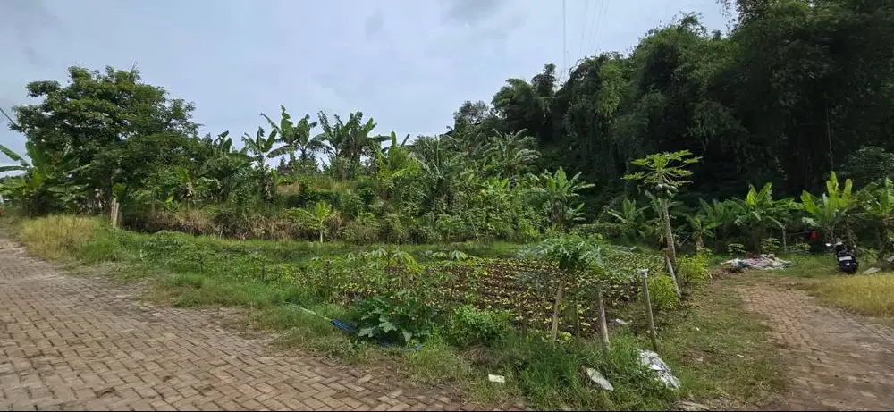 Tanah Kavling Lembah Bajuri Bandung Dijual Cocok Untuk Villa dan Rumah