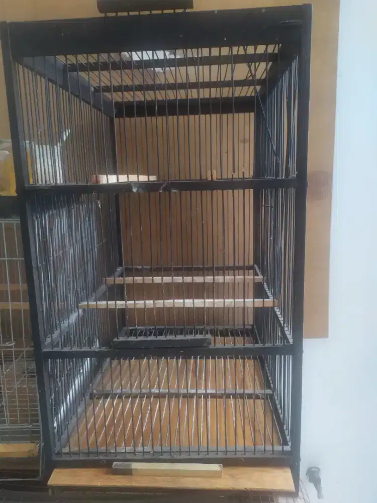 KANDANG BURUNG MURAI