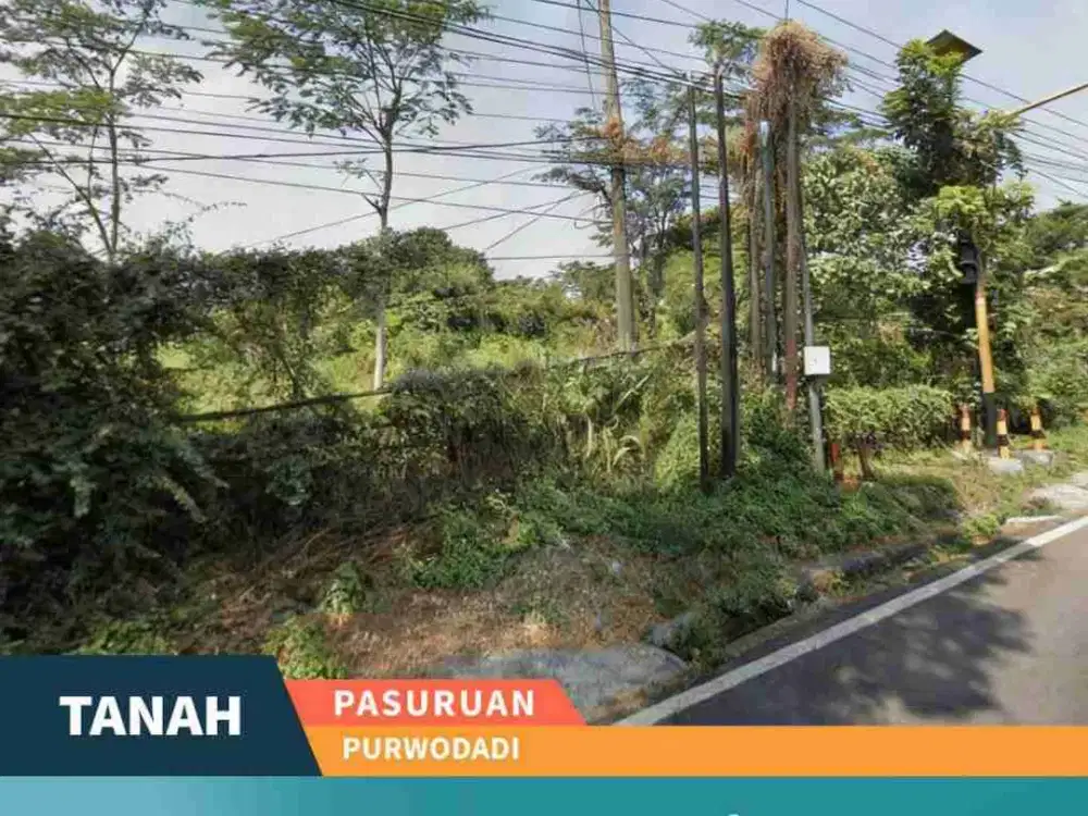 Dijual Tanah Luas Poros Jalan Raya Propinsi Di Purwodadi Kab. Pasuruan