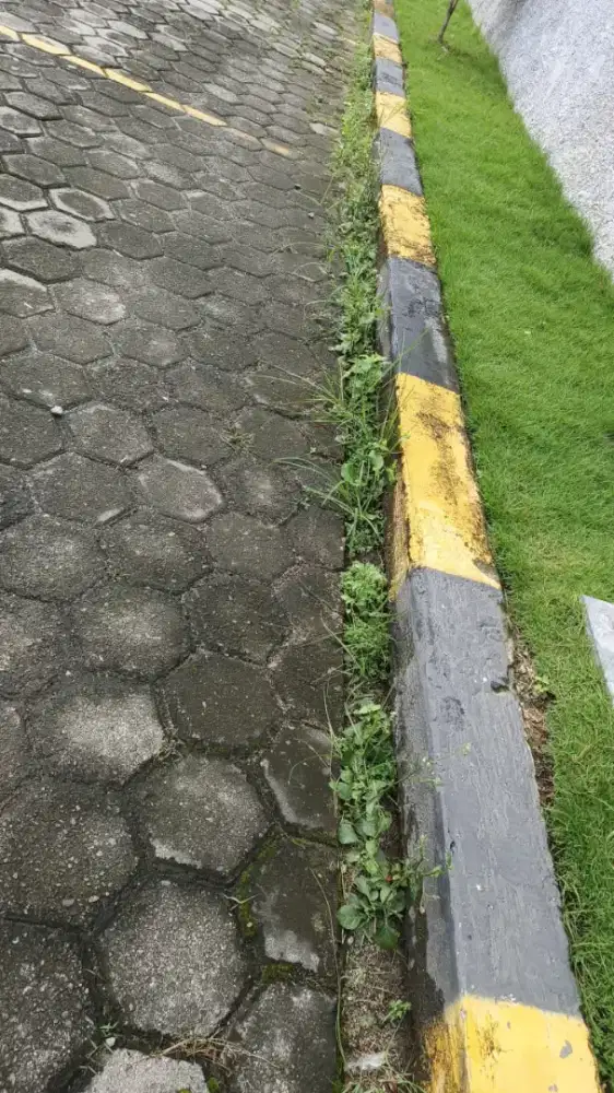 Dicari kurir antar barang