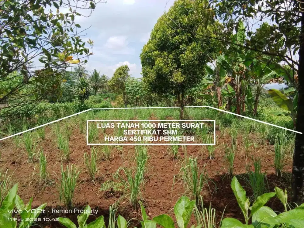 TANAH MURAH SUDAH SERTIFIKAT SHM DEKAT JALAN RAYA PADAT PENDUDUK DI CINANGNENG CIAMPEA BOGOR