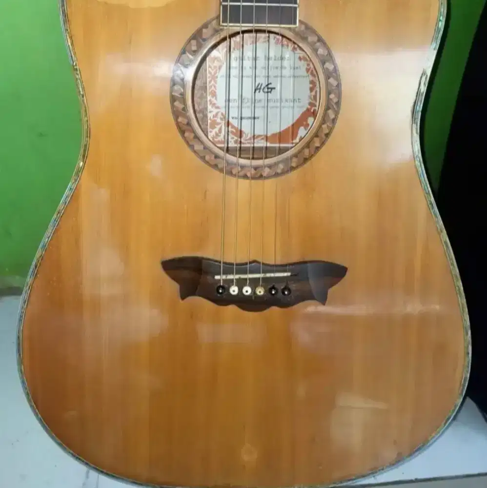Dijual guitar akustik elektrik HG Helder original