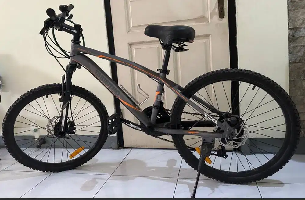 MTB Tabibitho Mischief 2.0