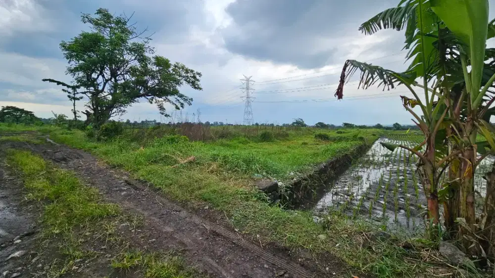 Tanah diperuntukan gudang atau pabrik
