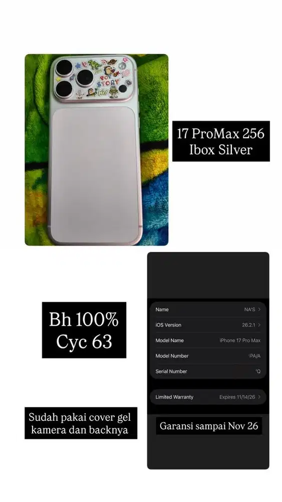 17 ProMax 256 GB ex Ibox