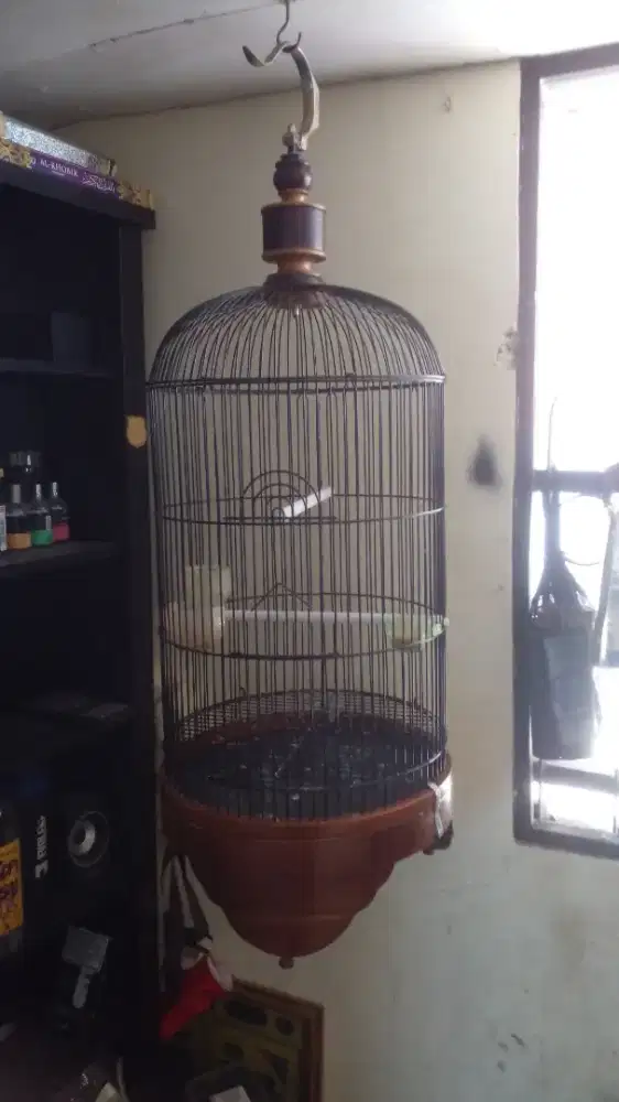 Sangkar burung lovebert mulus 90%