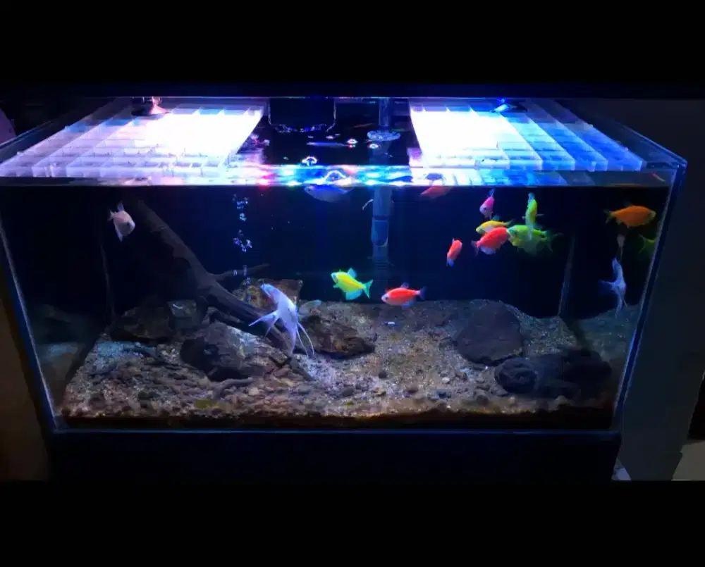 Akuarium 50x25x25 fullset