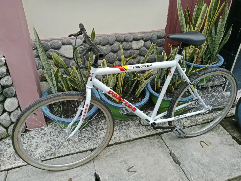 Sepeda gunung warna putih