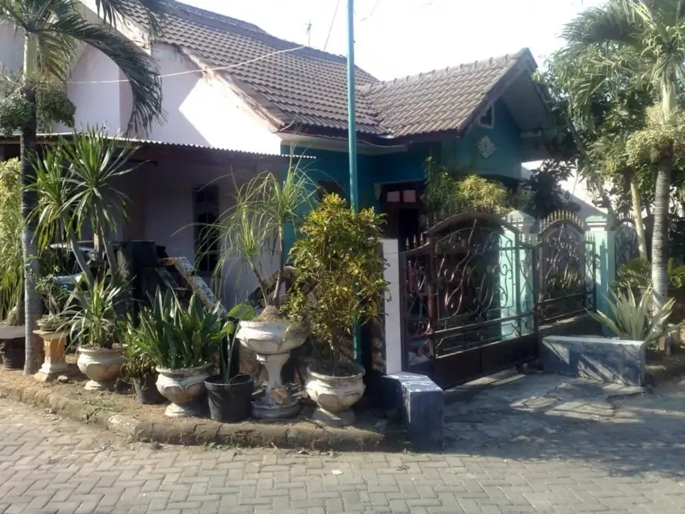 Rumah Mewah Murah 100jutaan