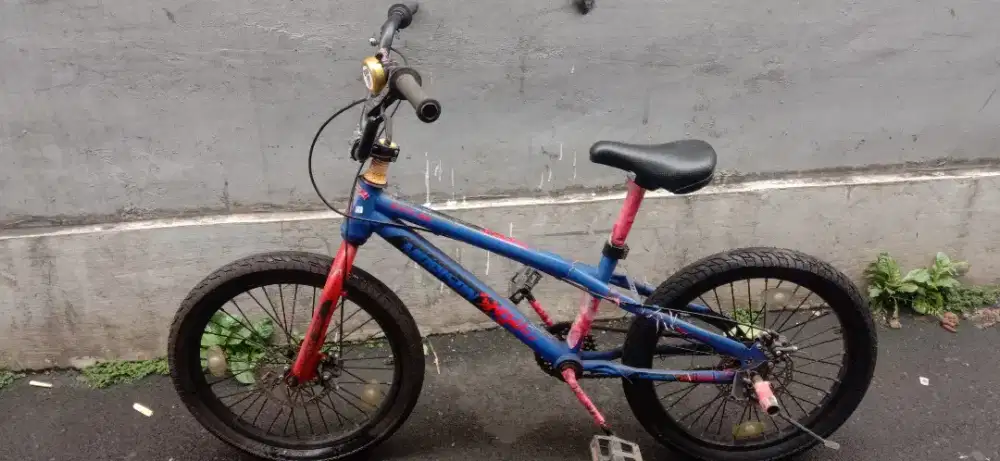 Sepeda anak second