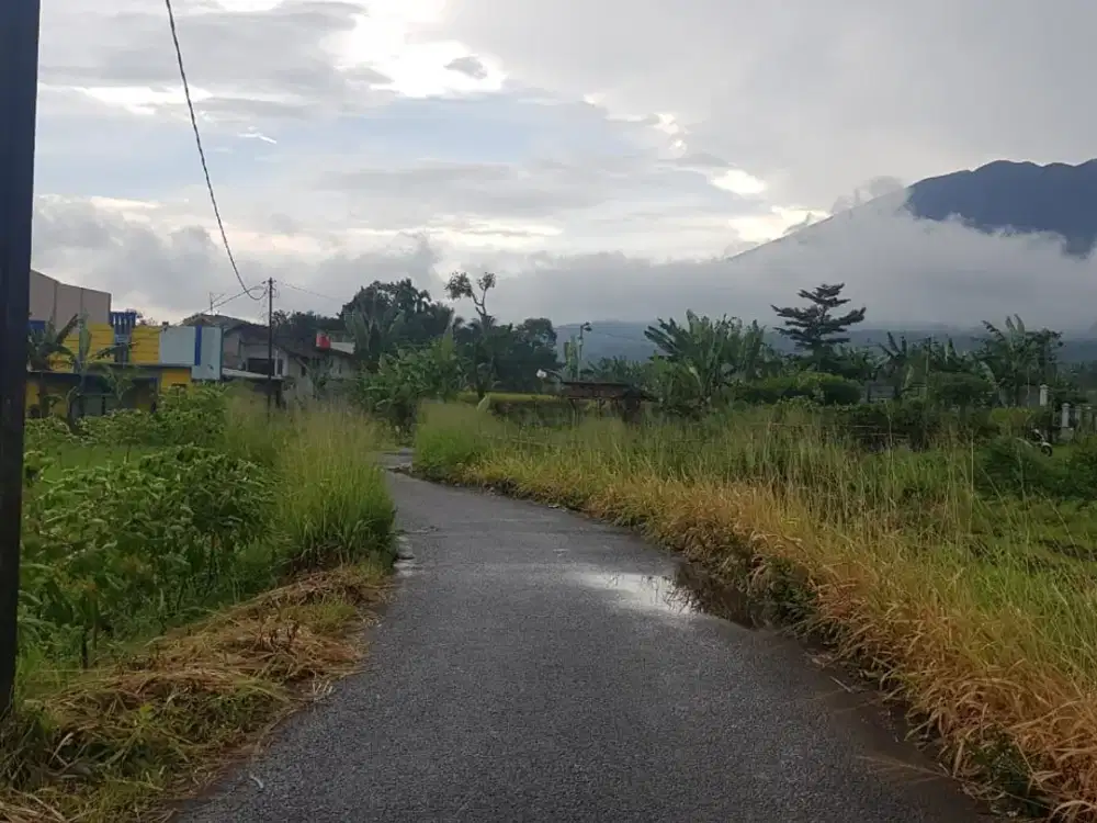 Kavling Terbaik Bonus Angpao 25 Jt 2,6 km ke SMPN 2 Cigombong SHM