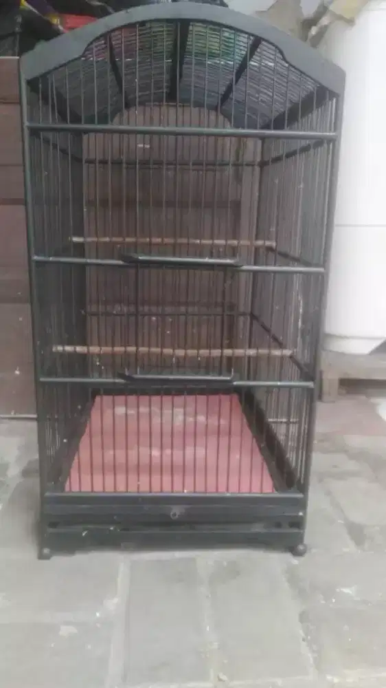 Kandang burung kotak