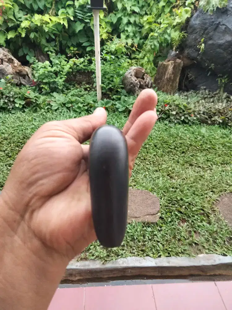 Gagang parang tanduk