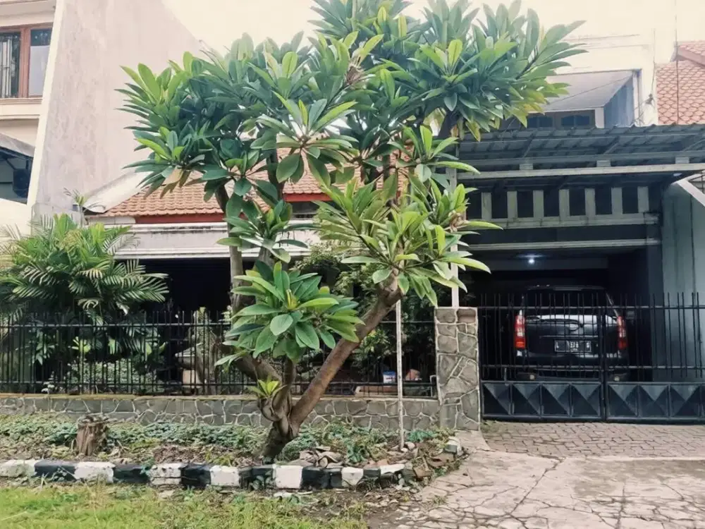 Termurah Rumah Gayungsari Barat Paling Murah Surabaya
