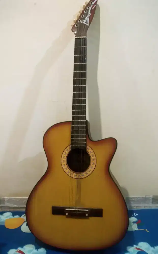 Gitar Akustik Cutaway Ibanez