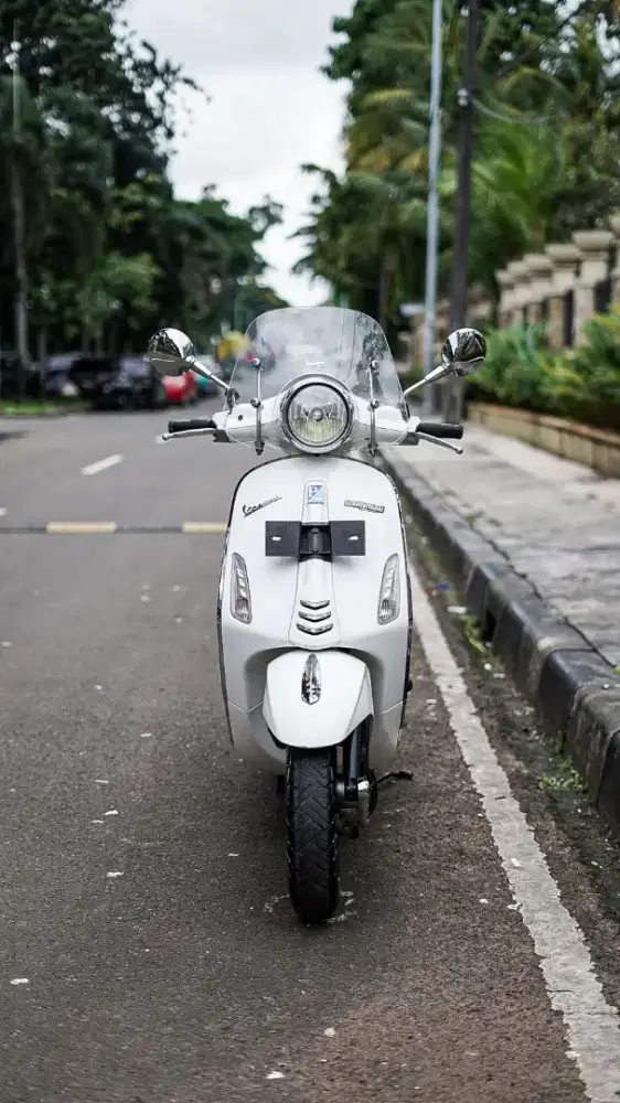 VESPA PRIMAVERA 2014