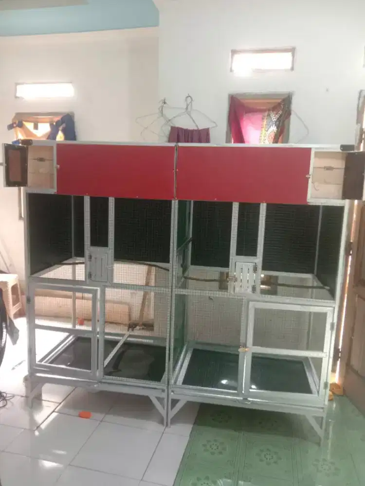 Kandang ternak 2 kotak