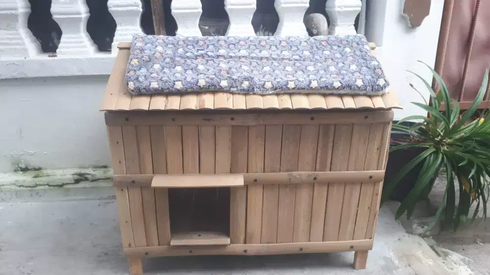 Kandang kucing dari bambu petung