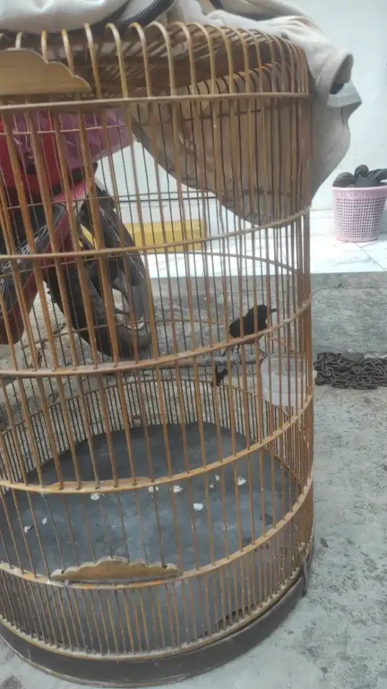 MH gacor 24jam fullset prestasi