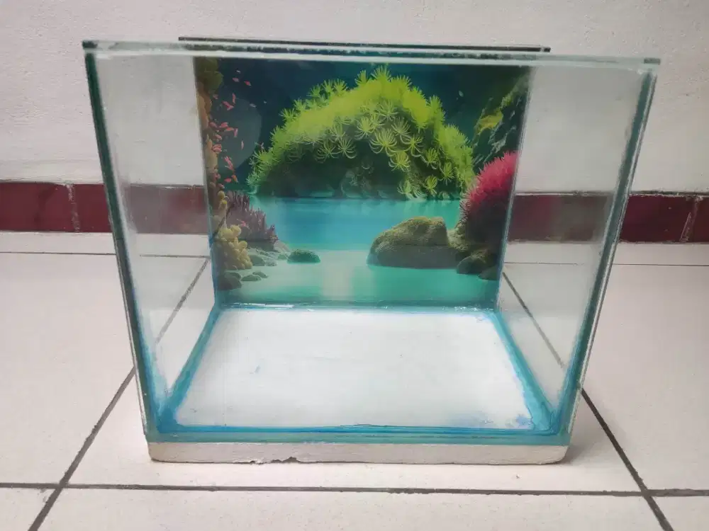 Jual Aquarium Kecil