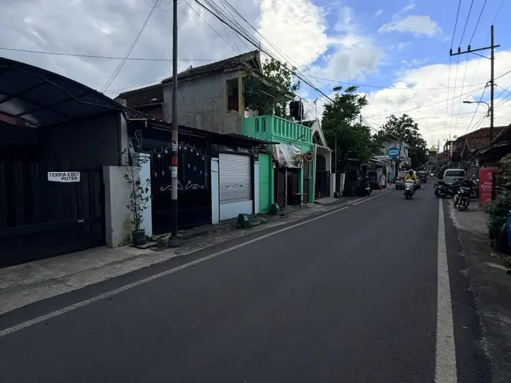 ASET EMAS KUMIS KUCING - 600m DARI SUHAT MALANG!