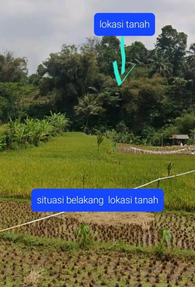 Tanah Impian untuk Rumah Kebun & Tempat Istirahat – Dekat Walini!