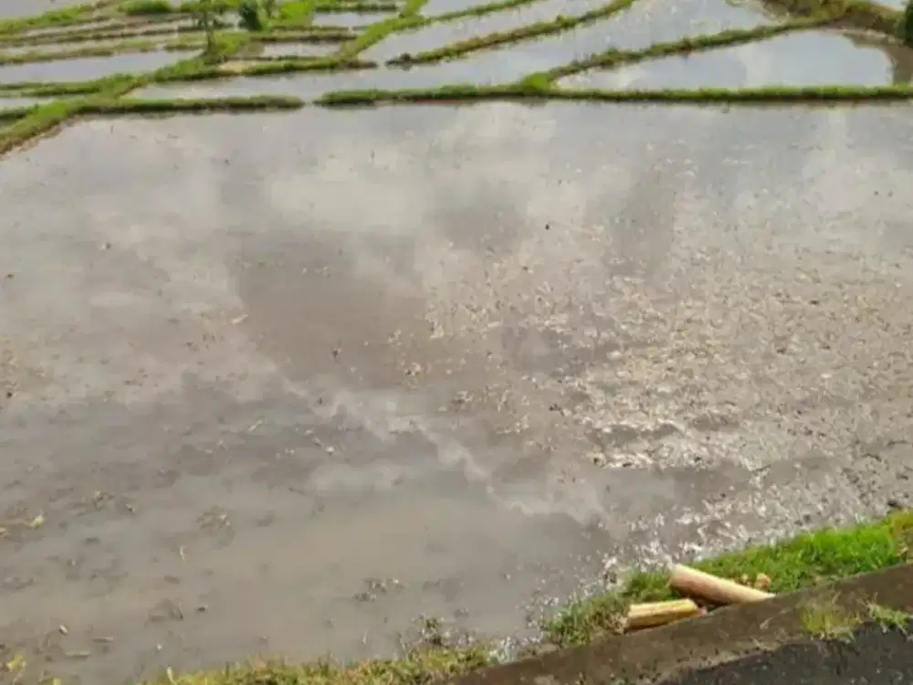 Land for sale in Tabanan, Bali