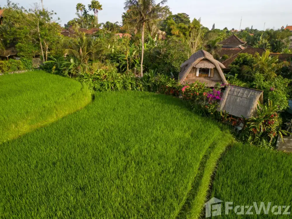 1 Bedroom Villa for sale in Ubud, Bali - Thumbnail 2