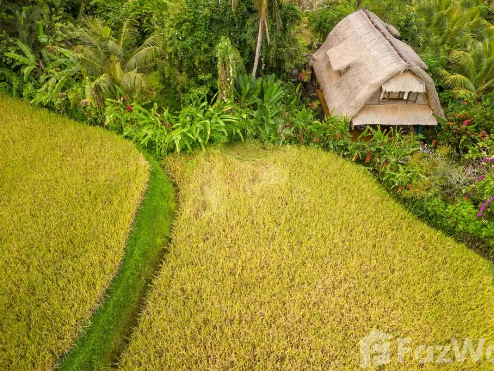 1 Bedroom Villa for sale in Ubud, Bali - Thumbnail 4