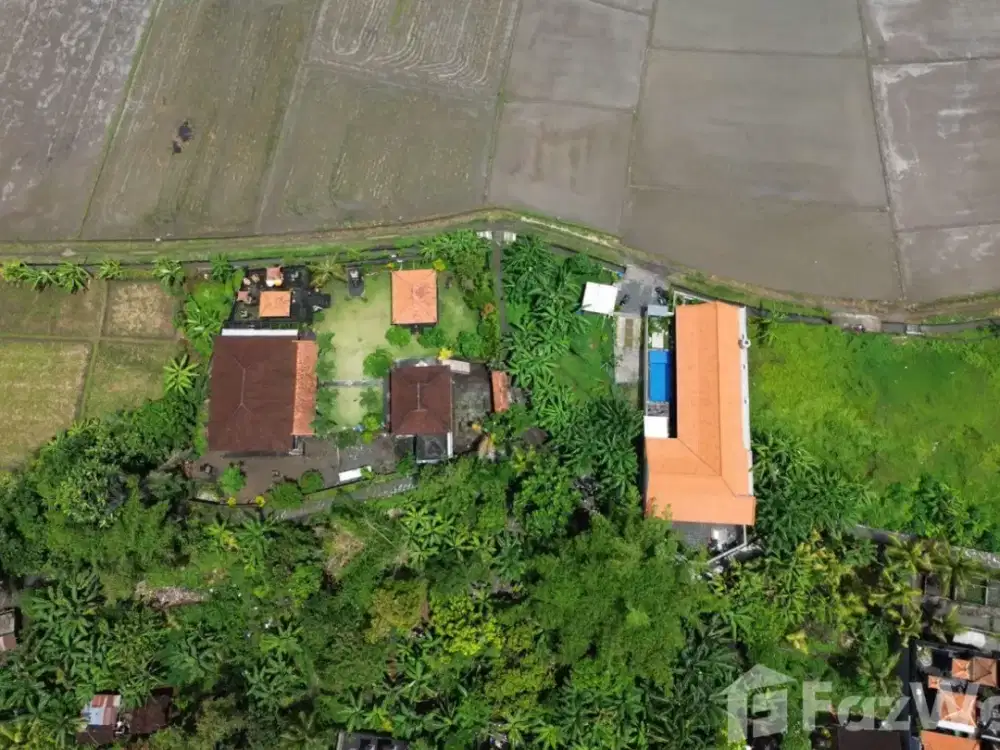 Land for sale in Seseh, Bali